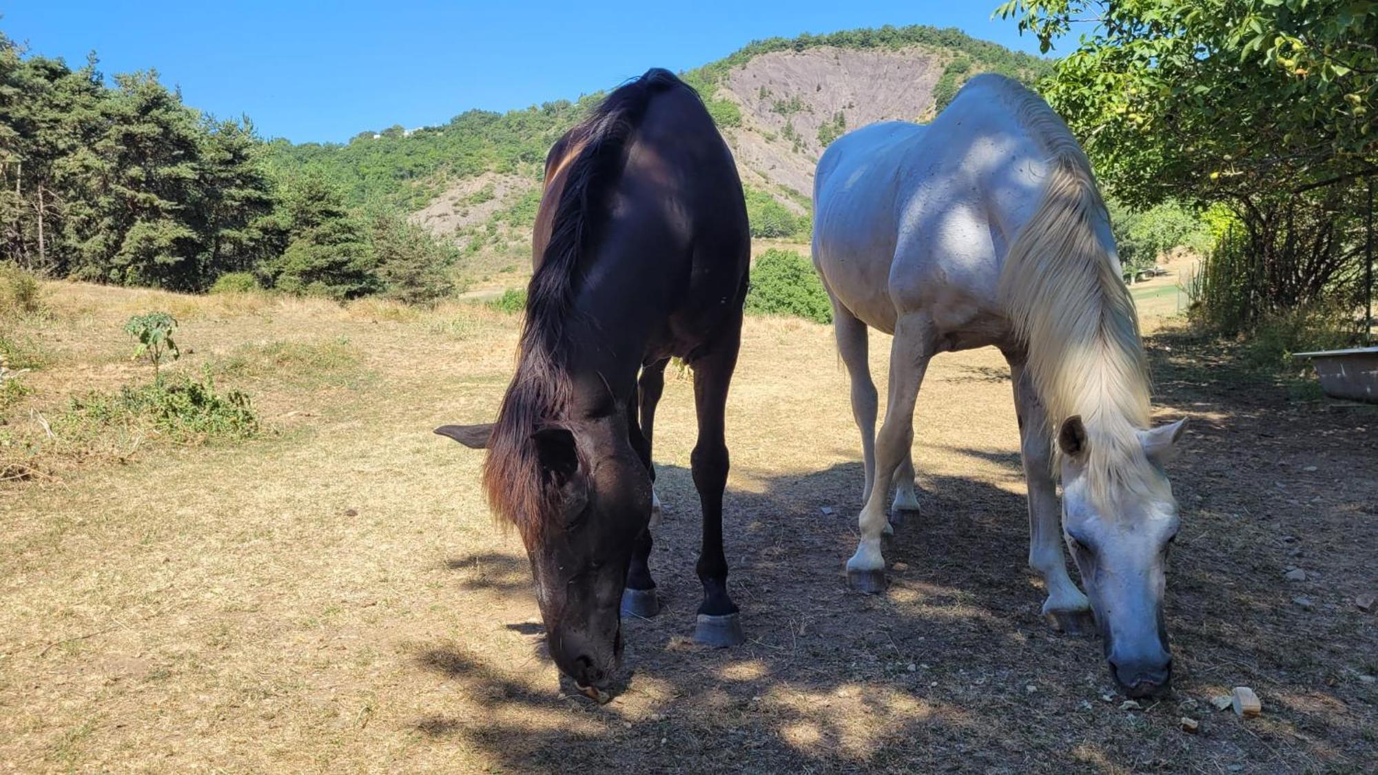 Chambre D'Hotes La Citadelle Lardier-et-Valenca 外观 照片
