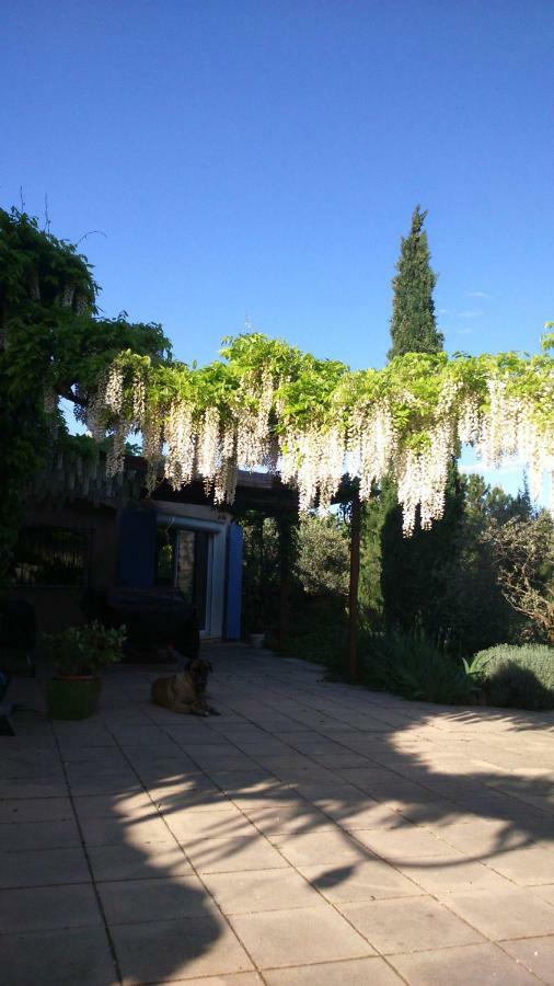 Chambre D'Hotes La Citadelle Lardier-et-Valenca 外观 照片